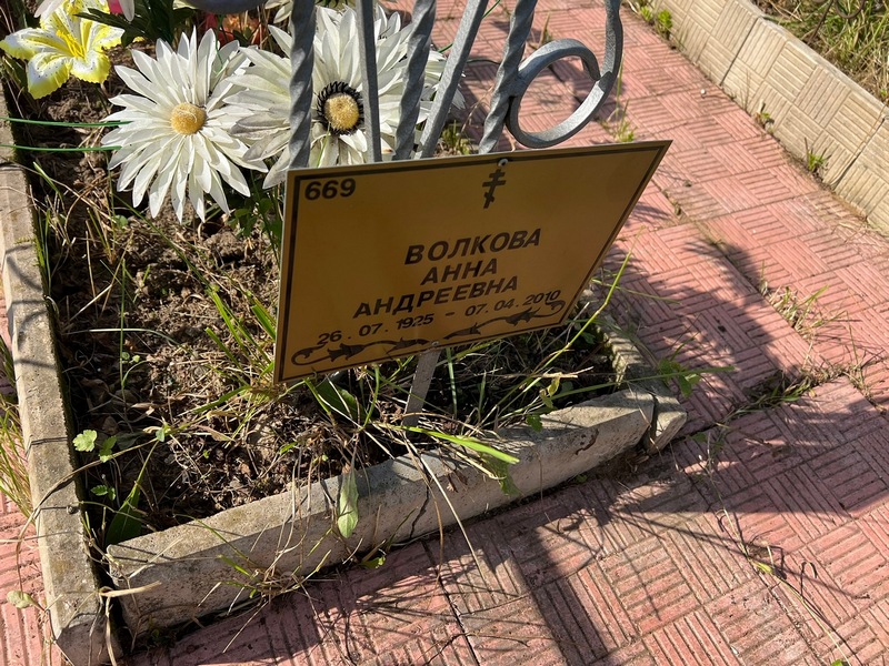 Волкова