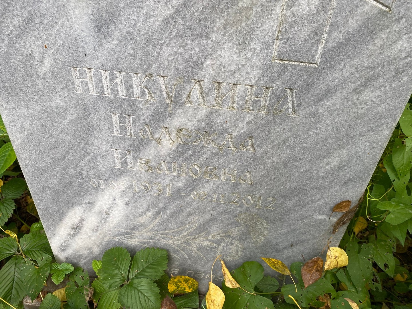 Никулина