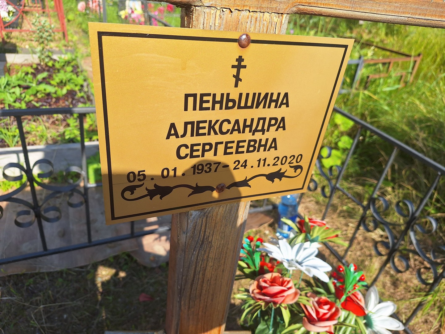 Пеньшина Александра Сергеевна