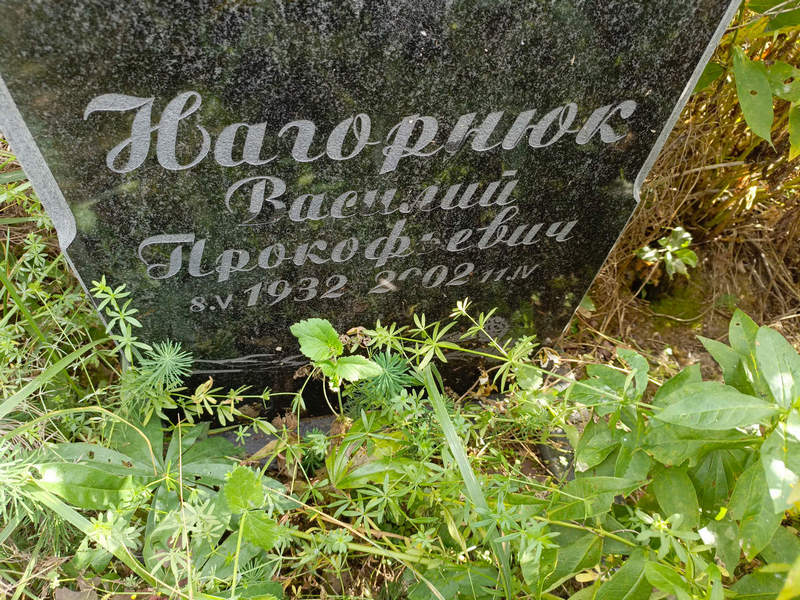 Нагорнюк