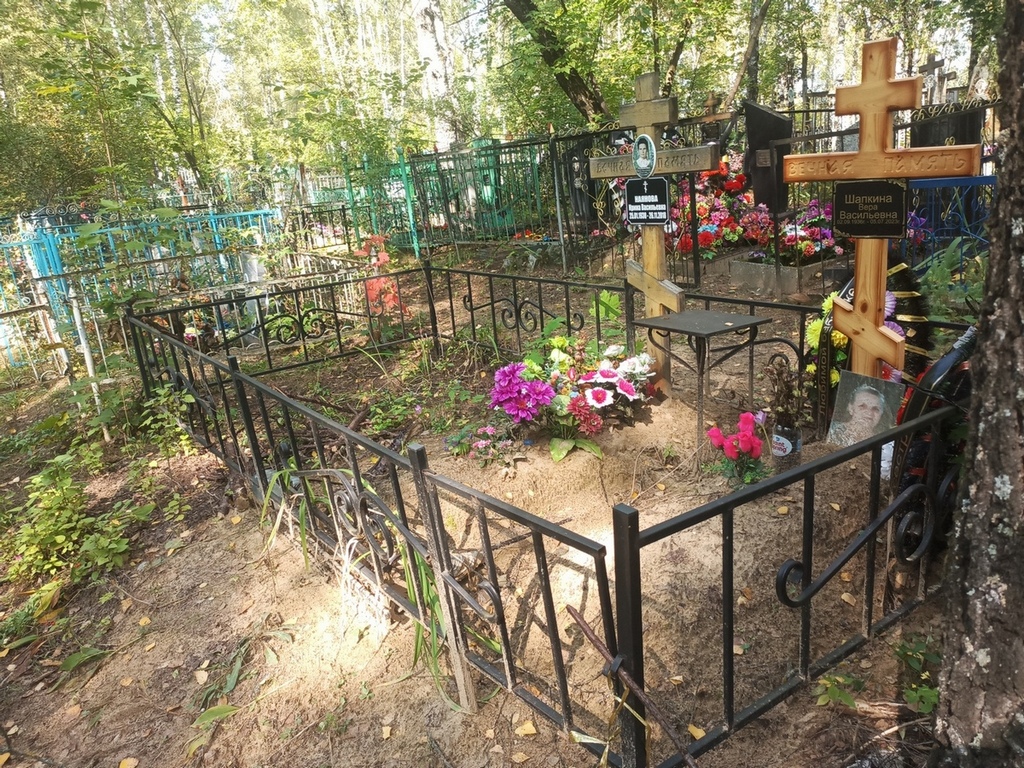 Наянова Ирина Васильевна