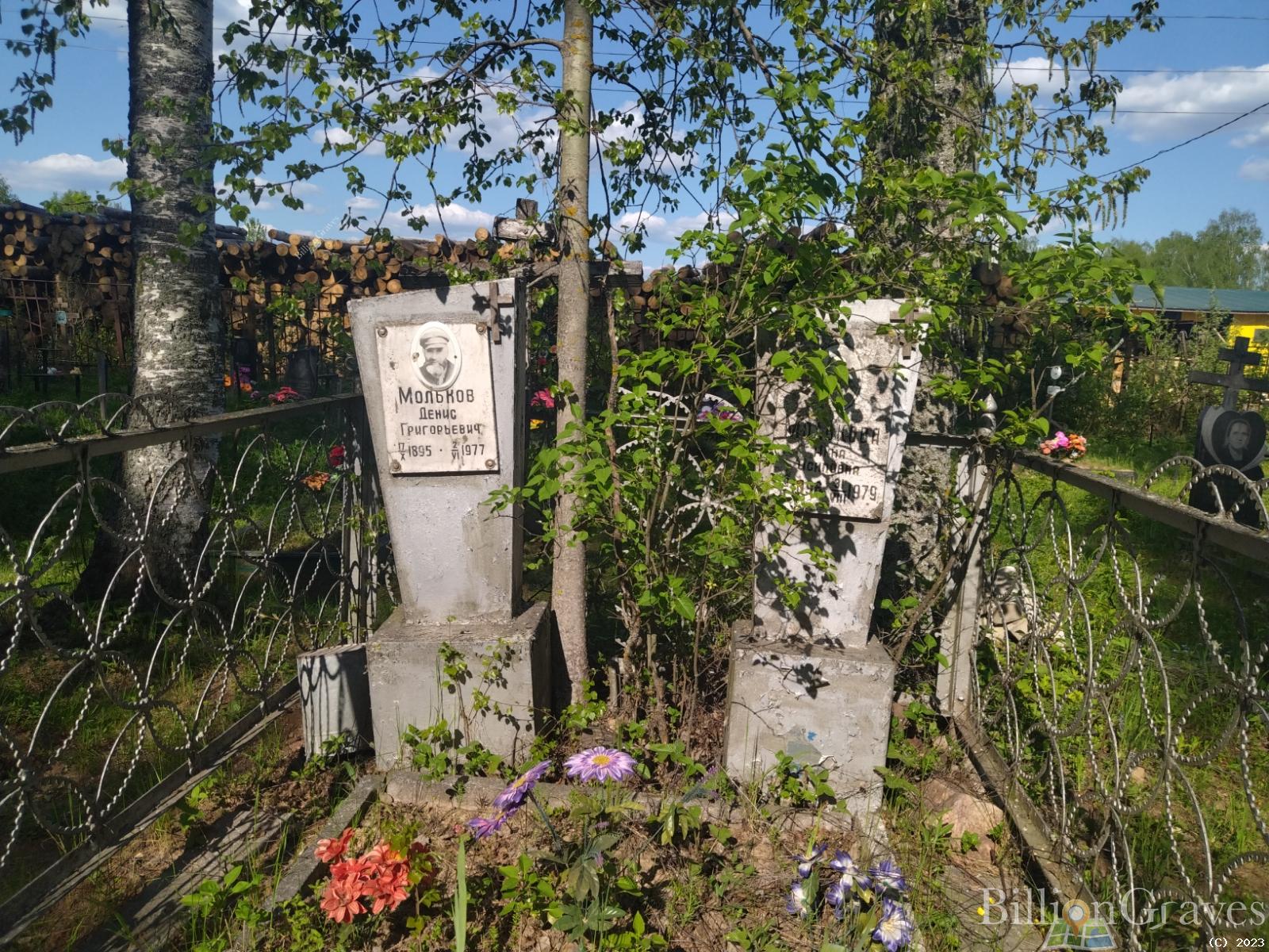 Мольков Денис Григорьевич