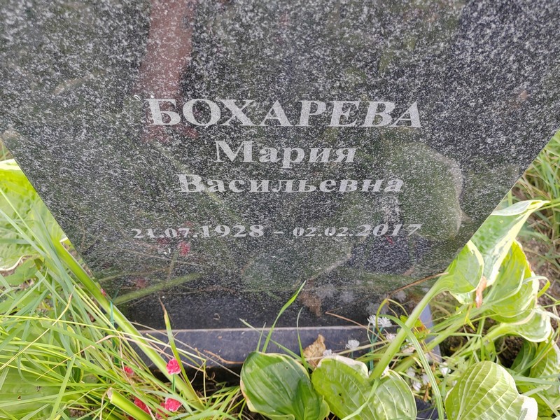 Бохарева