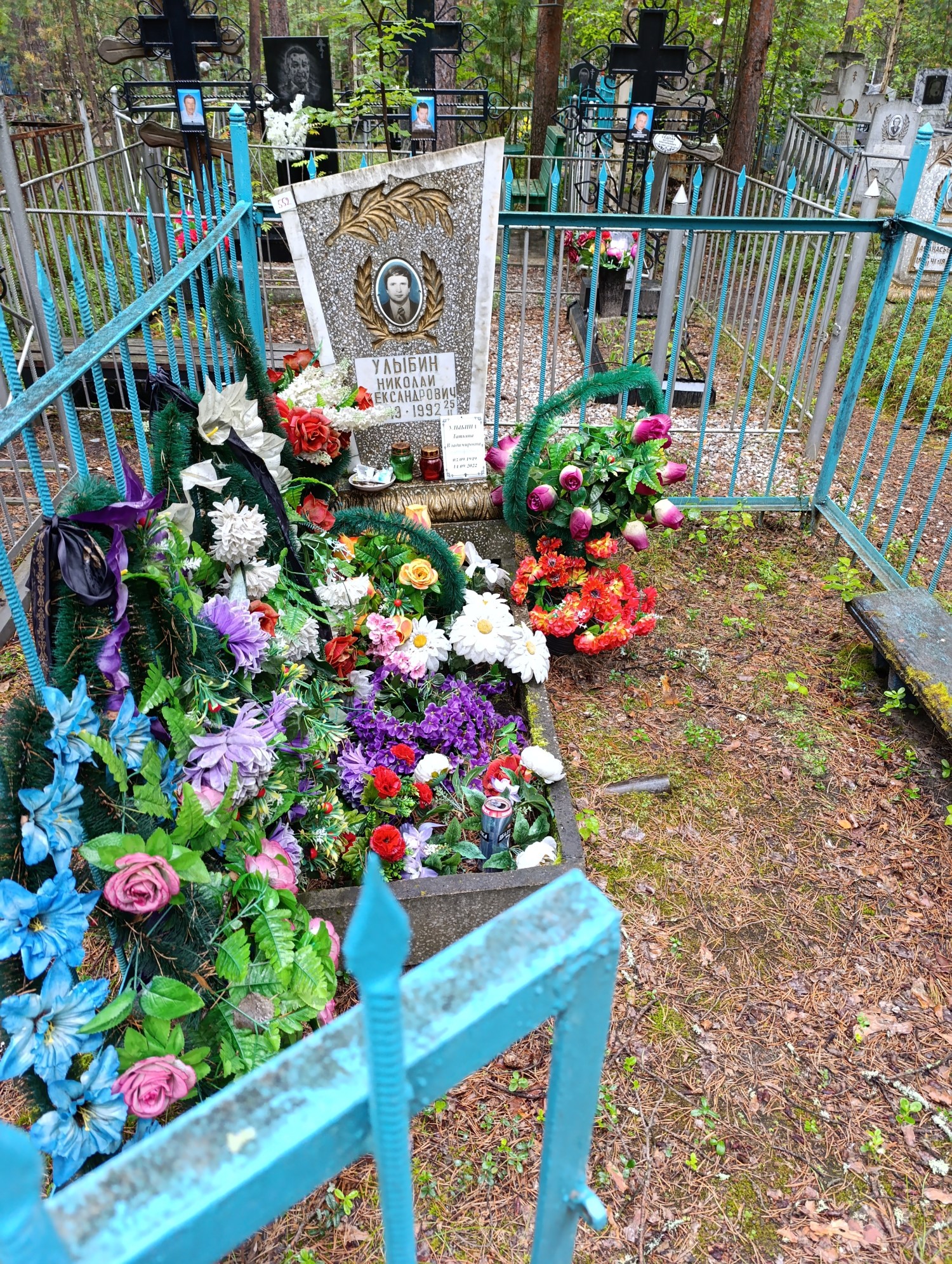 Улыбина Татьяна Владимировна