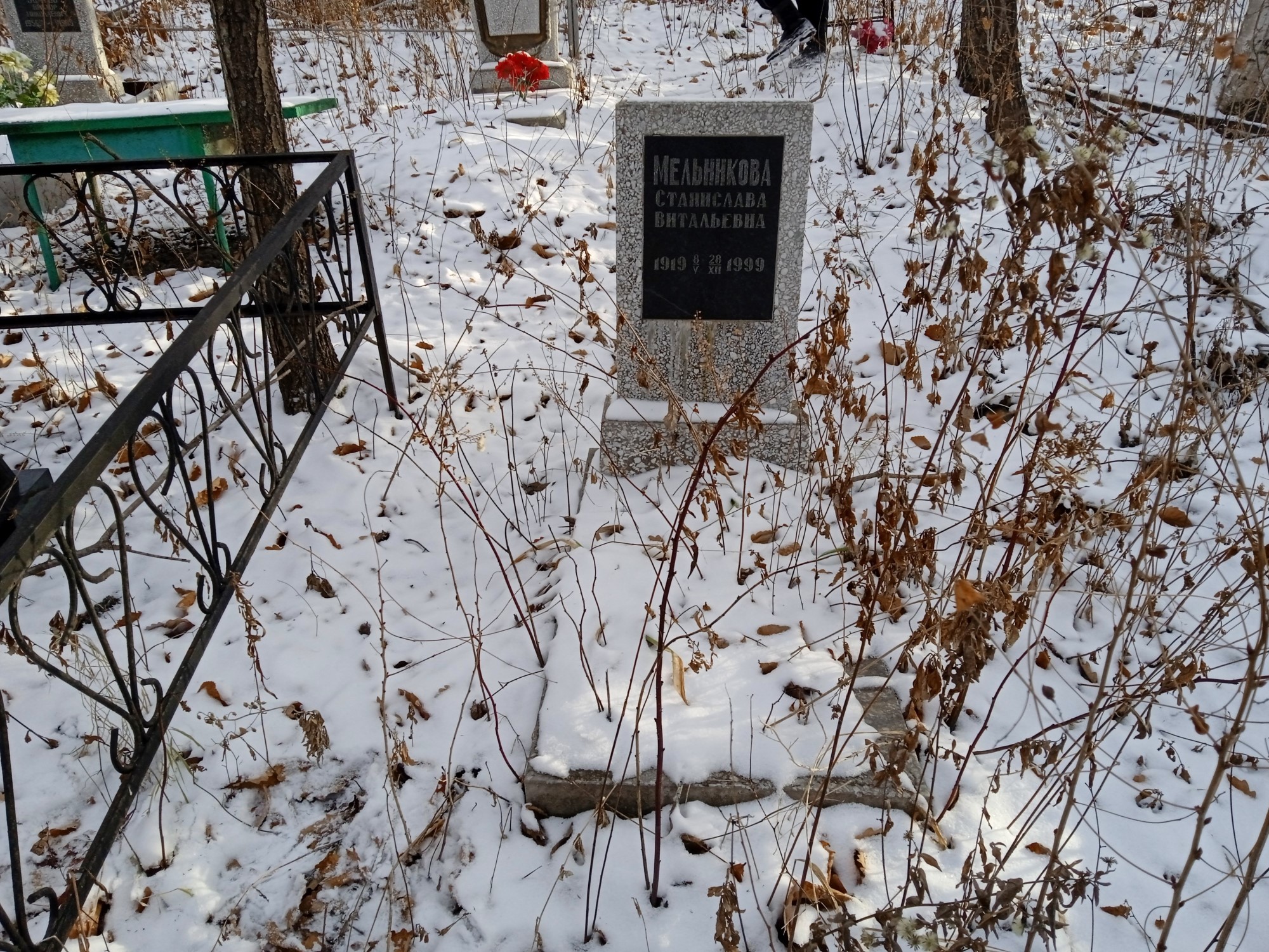 Мельникова Станислава Витальевна