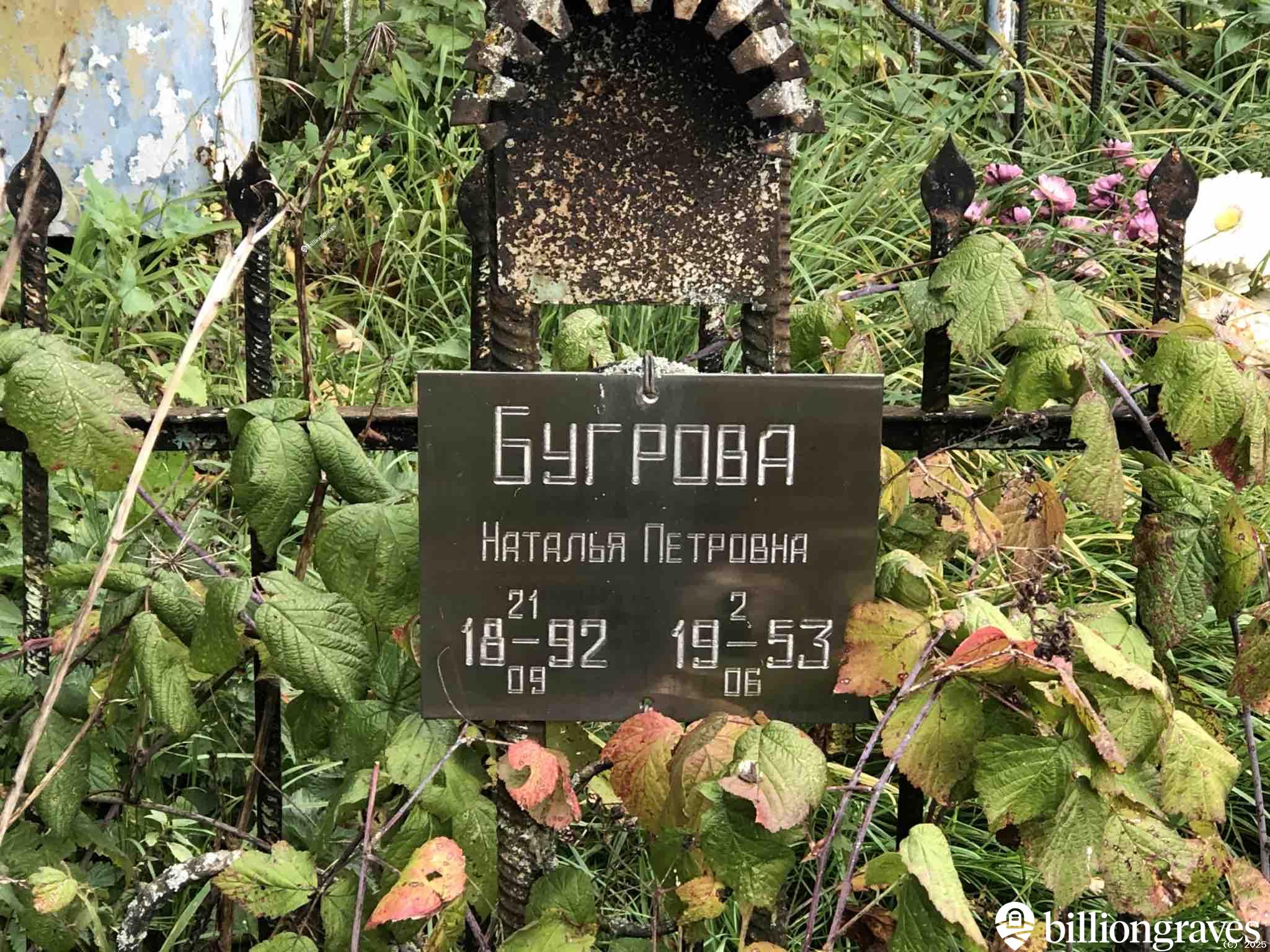 Бугрова Наталья Петровна