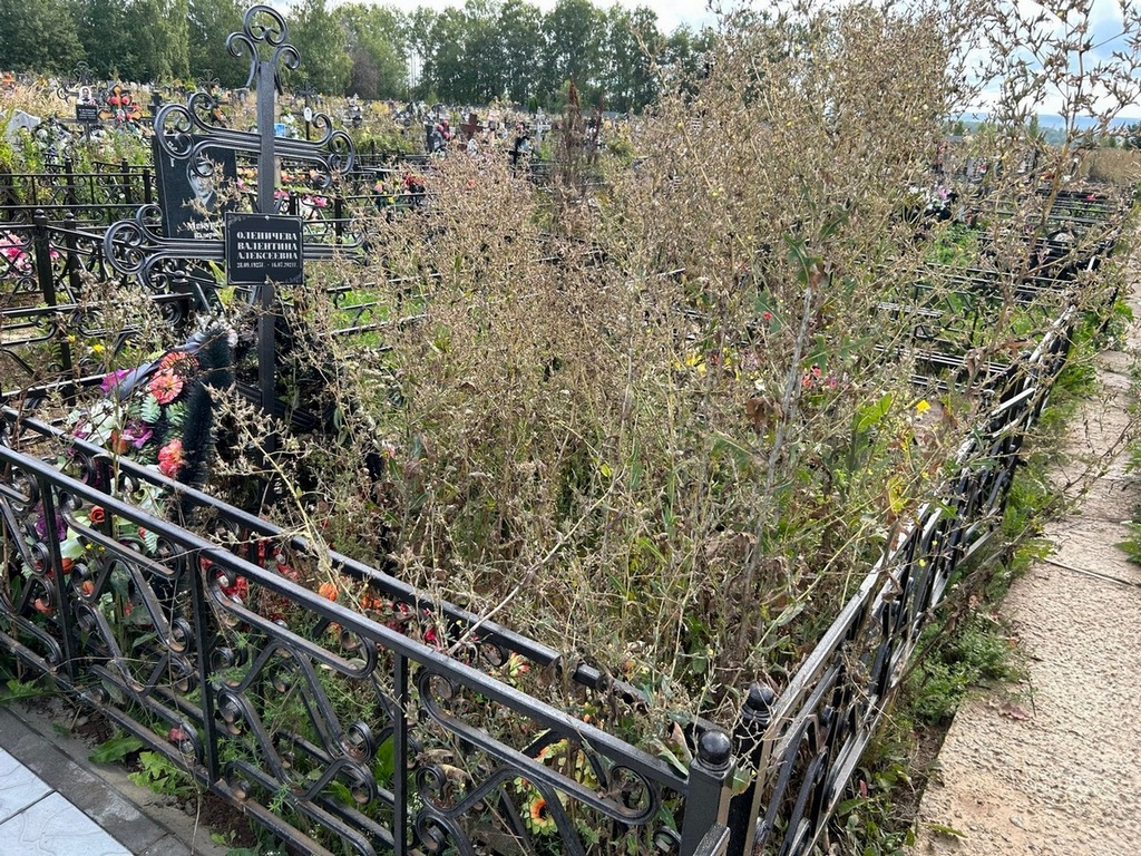 Оленичева Валентина Алексеевна