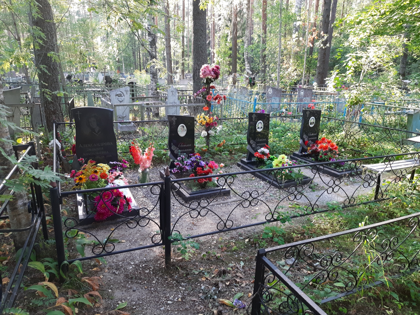Александрова Эмилия Анатольевна