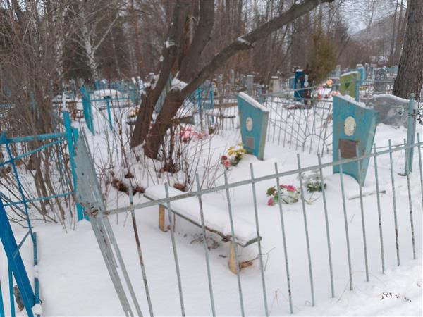Пушкарева Тамара Александровна