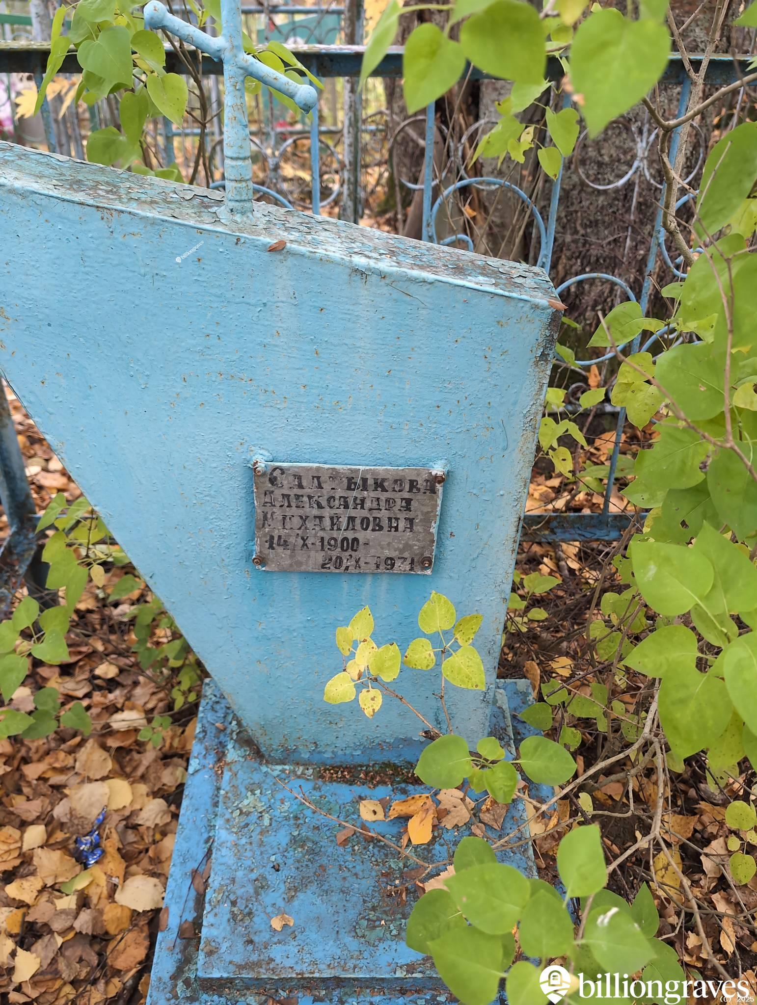 Салтыкова Александра Михайловна