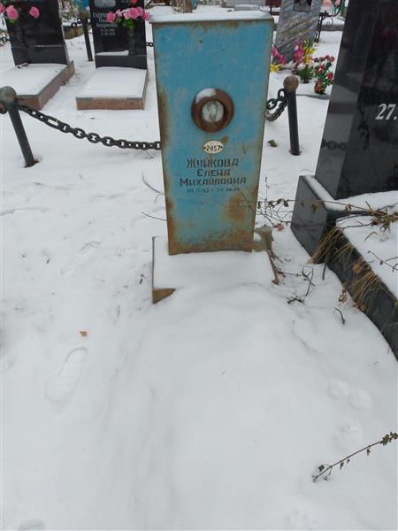 Жуйкова Елена Михайловна