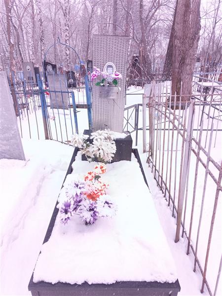 Чичикало Виктор Антонович