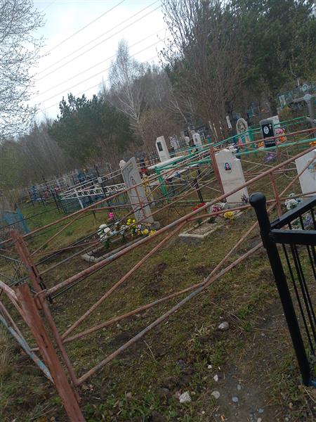 Сидорова Альвина Степановна