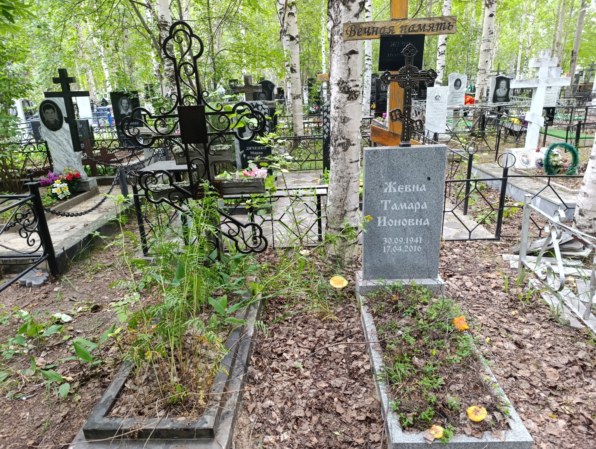 Жевна Борис Данилович