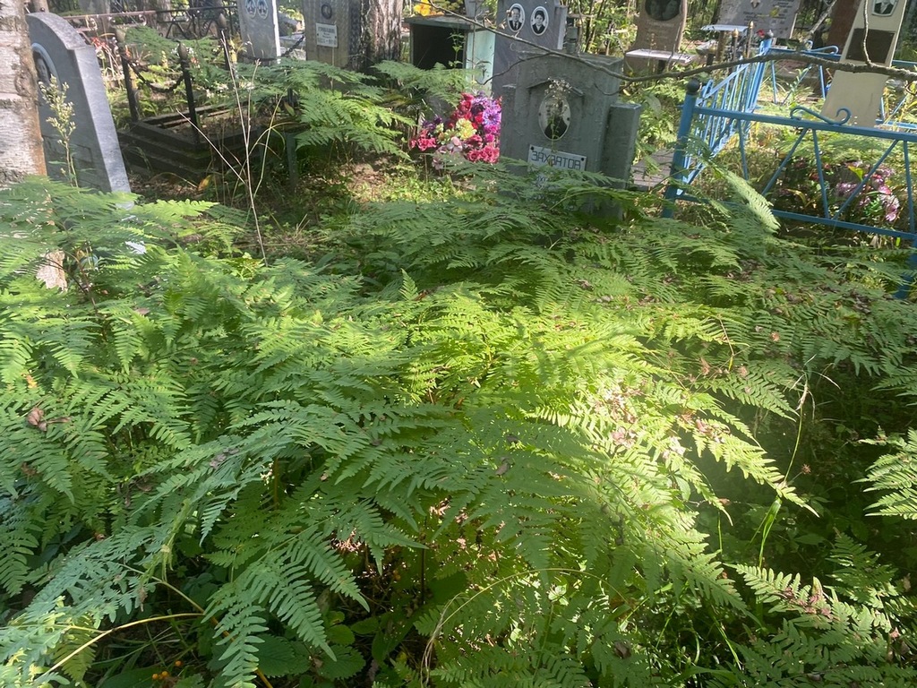 Захватов Иван Михайлович