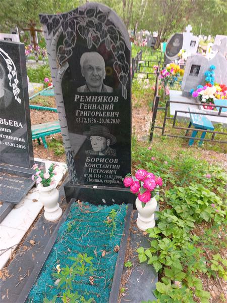 Ремняков Геннадий Григорьевич