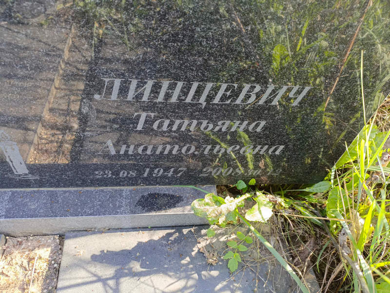 Линцевич