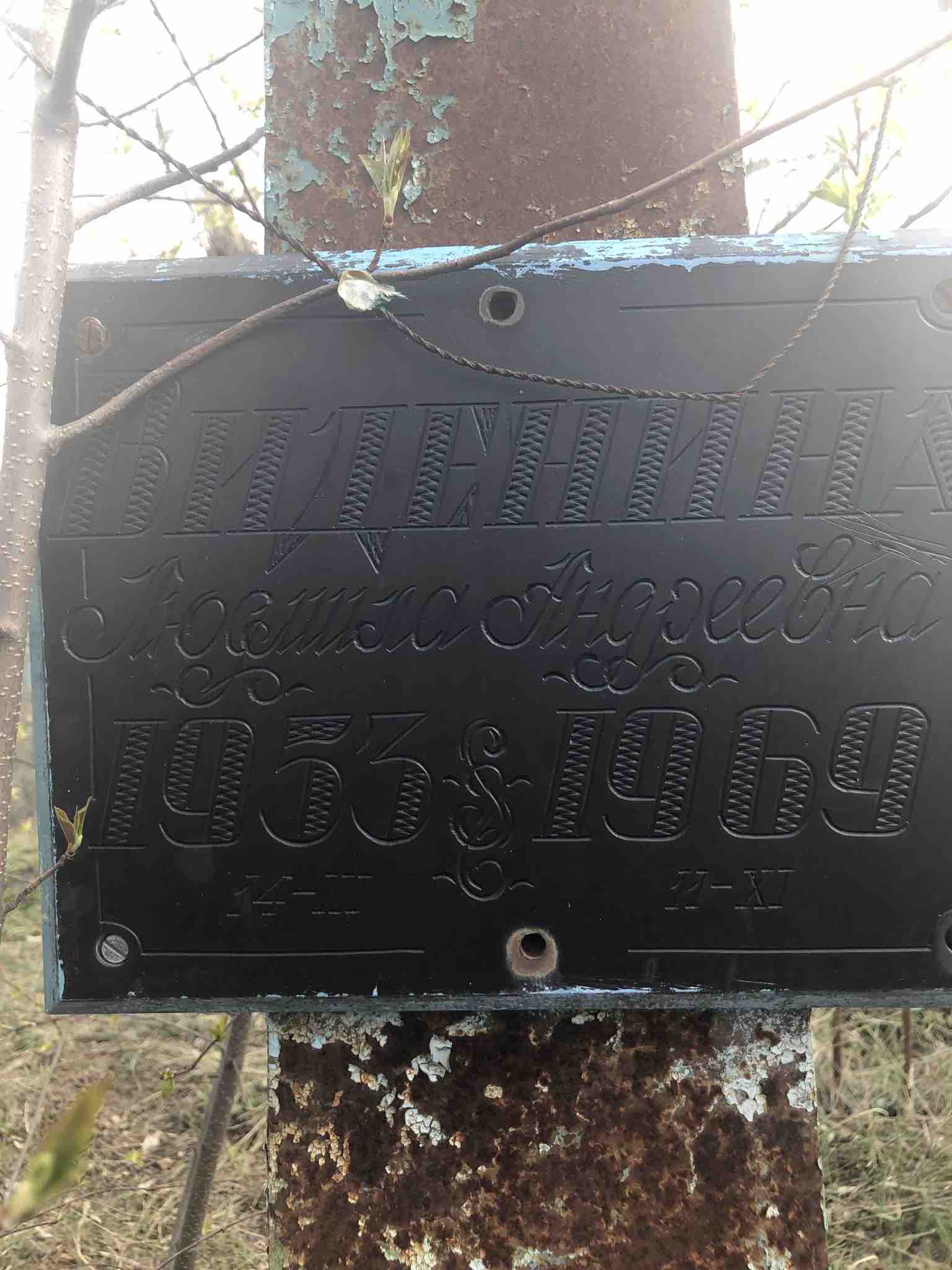 Виденина Людмила Андреевна