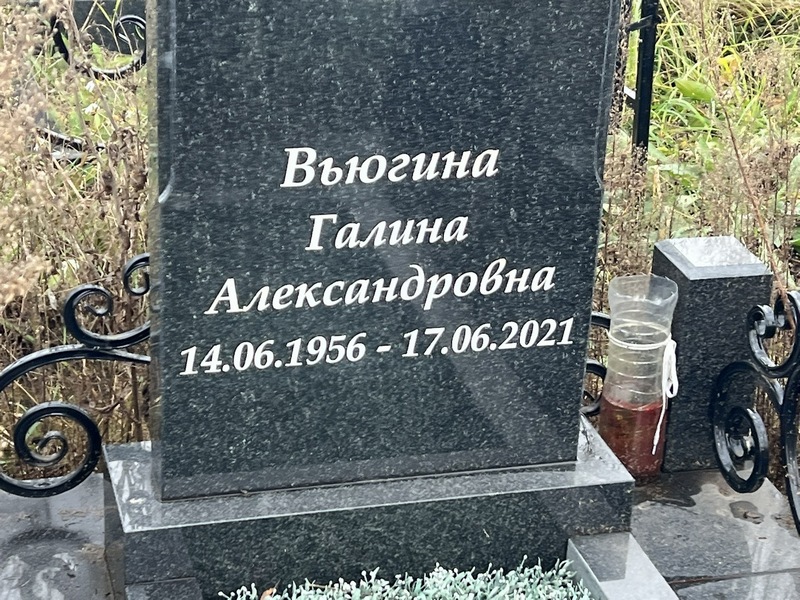 Вьюгина