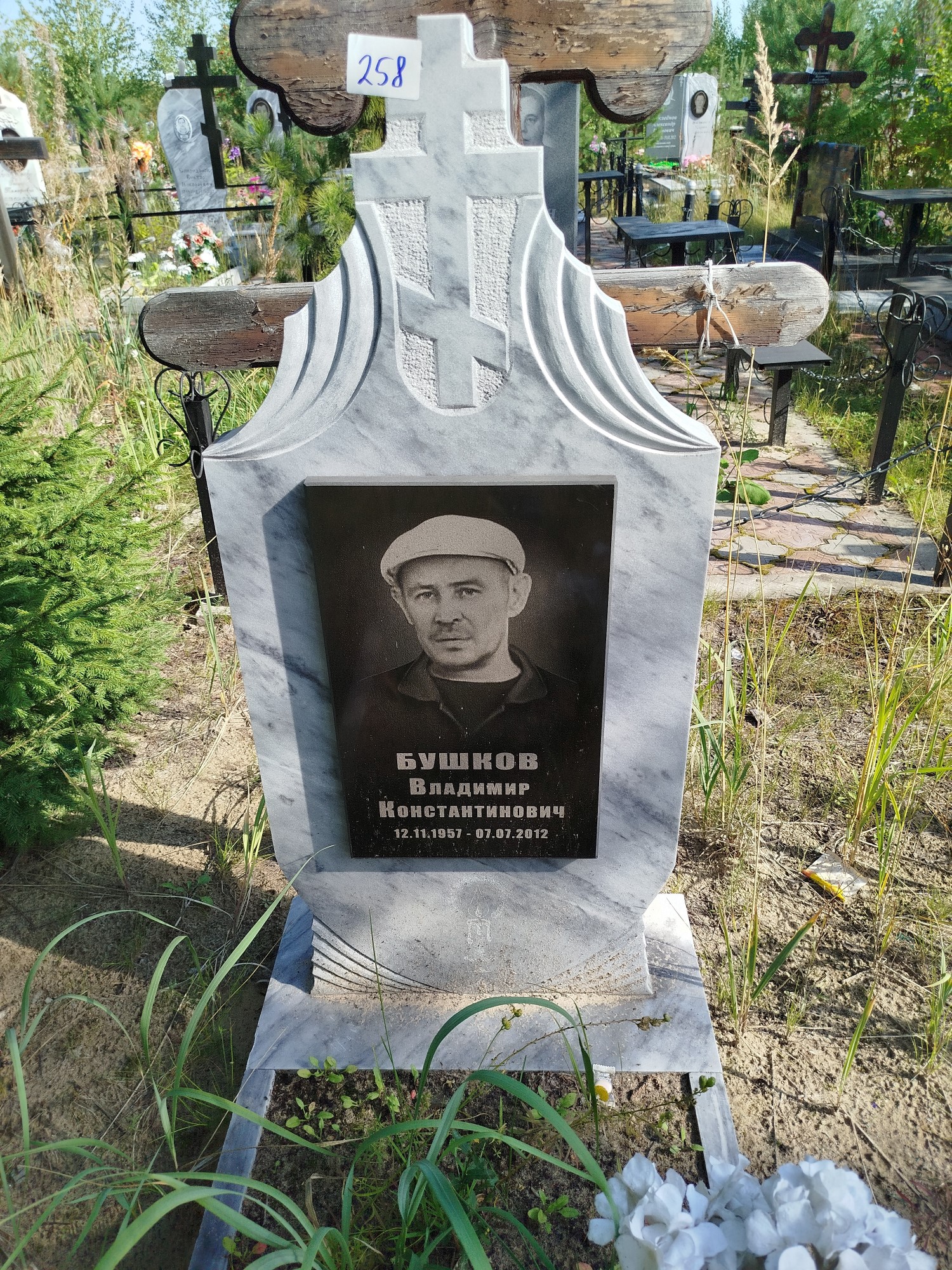Бушков Владимир Константинович