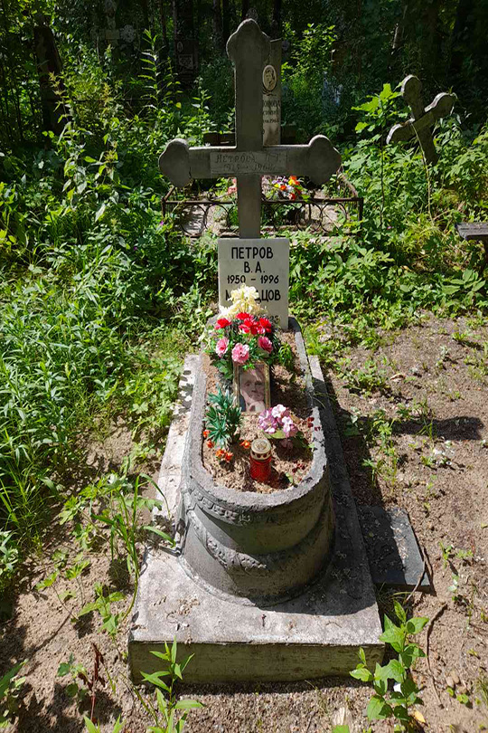 Петров В. А.