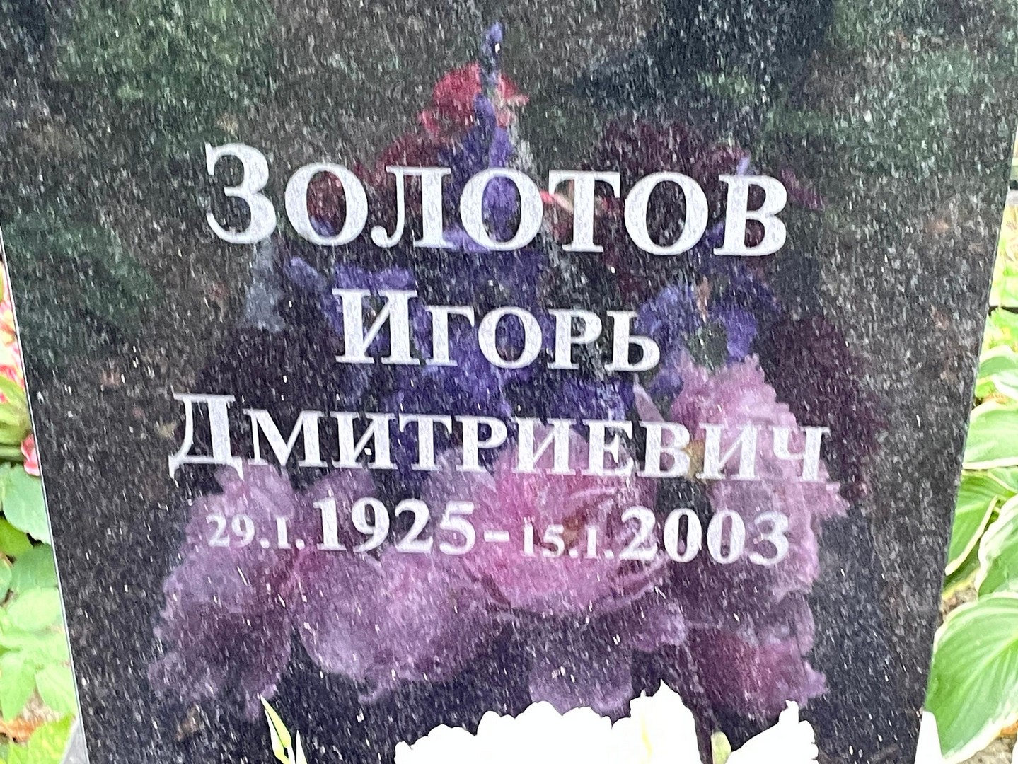 Золотов