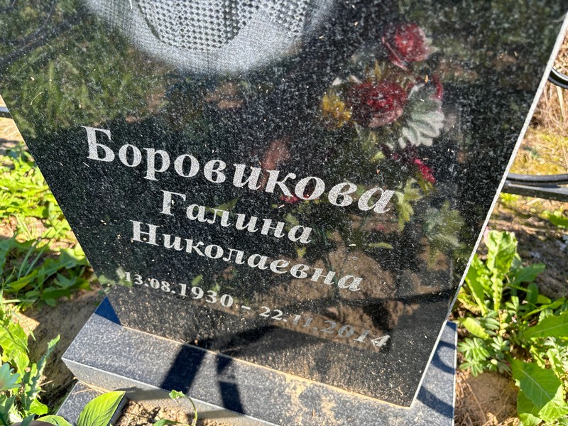 Боровикова