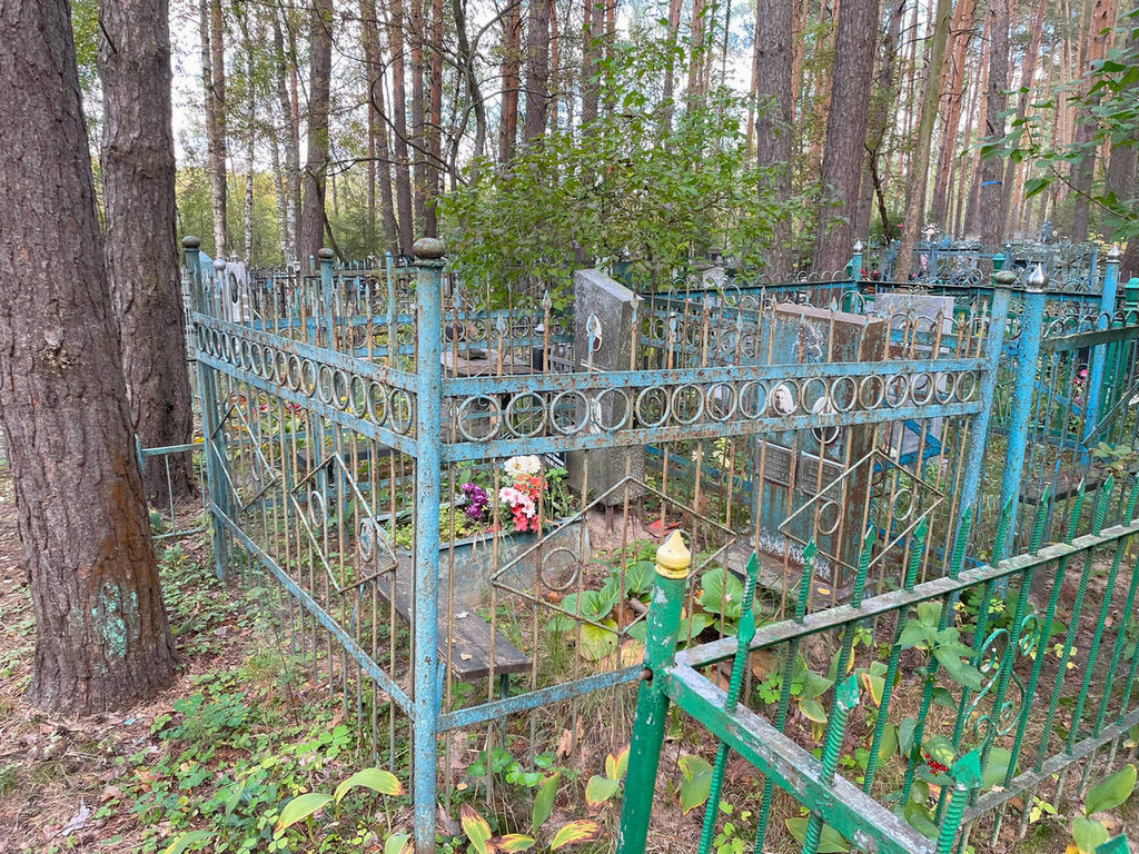 Лапин Владимир Александрович