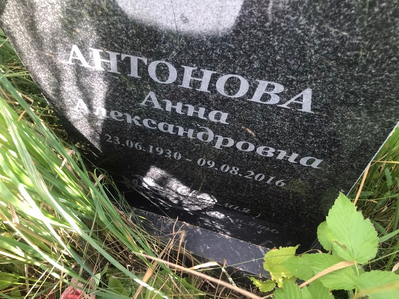 Антонова