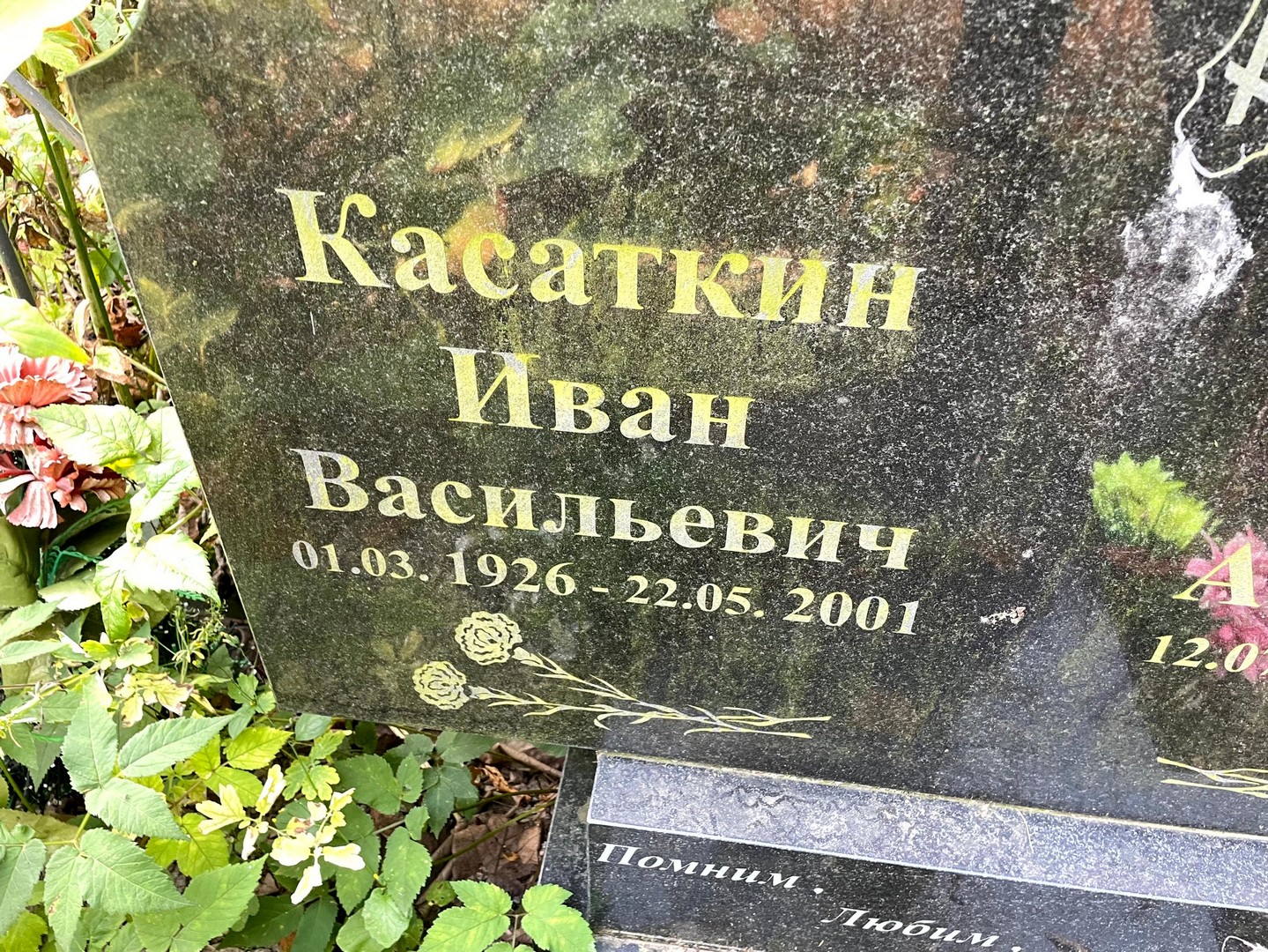 Касаткин