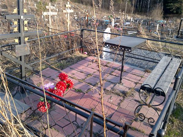 Дмитриева Наталья Сергеевна