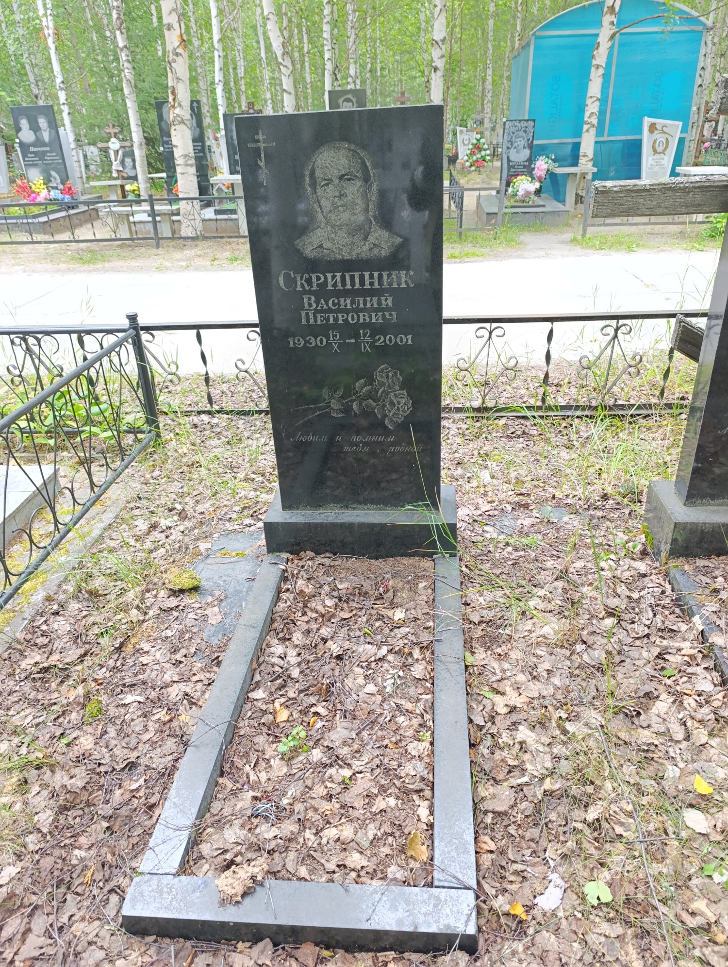 Скрипник Василий Петрович
