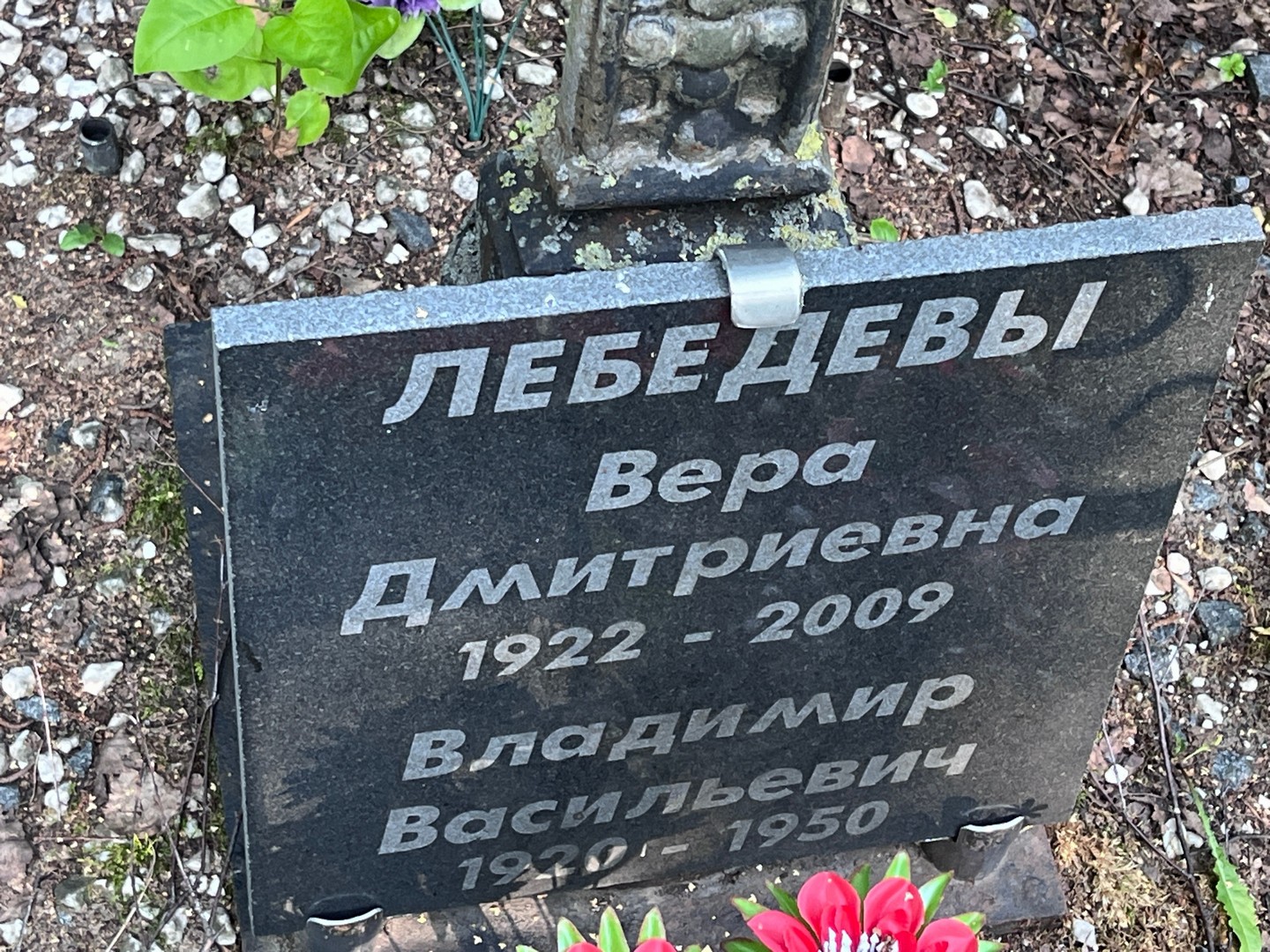 Лебедева