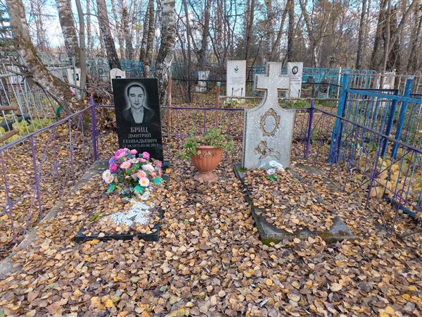 Бриц Дмитрий Геннадьевич