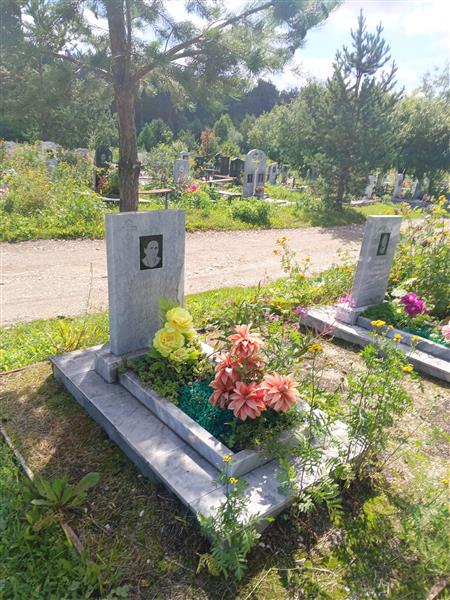 Гордин Александр Емельянович