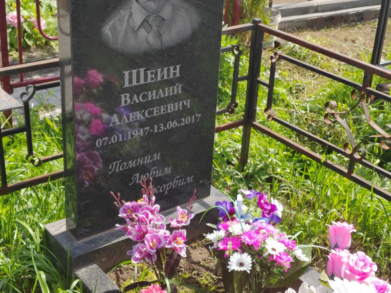 Шеин