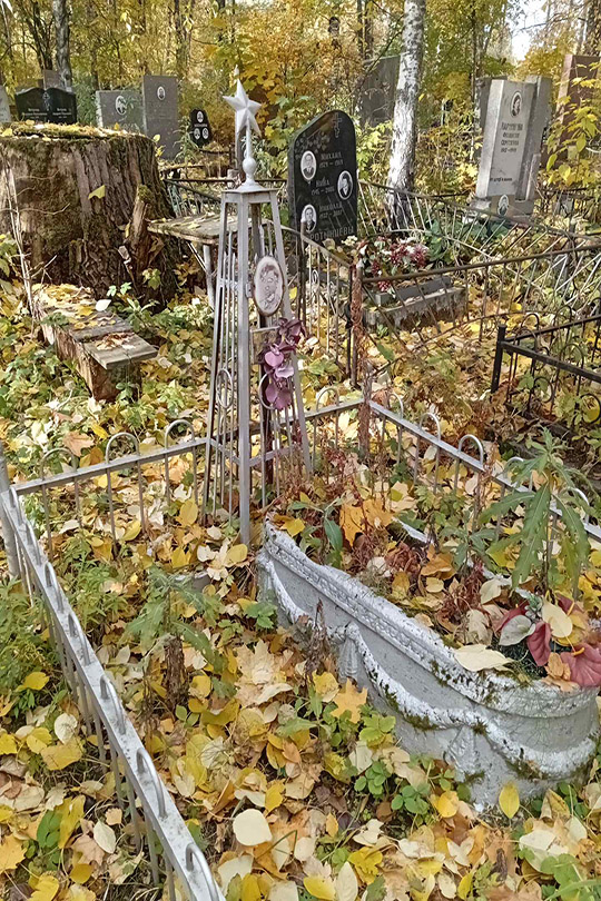 Ковалев Александр Яковлевич