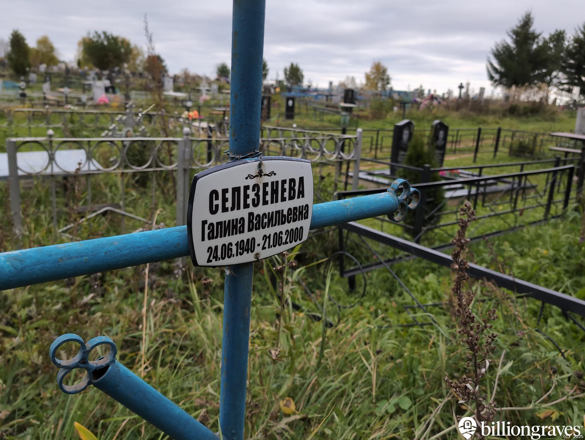 Селезнева Галина Васильевна