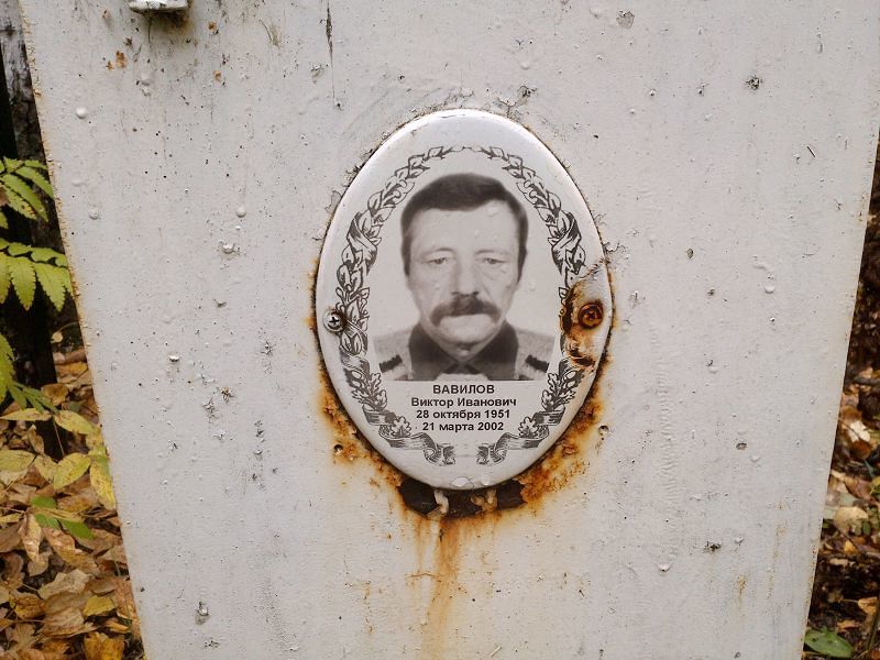 Вавилов