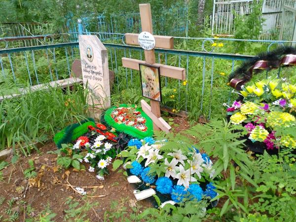 Степ Владимир Освальдович