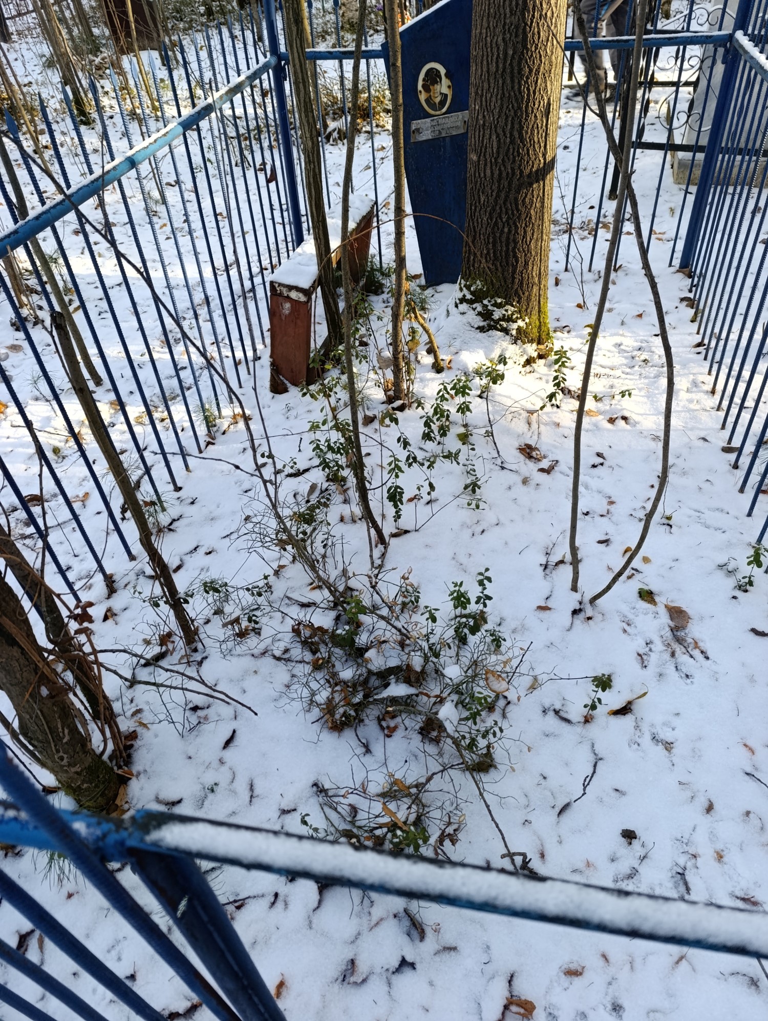 Эмгрунд Мавлиха Абдрахмановна