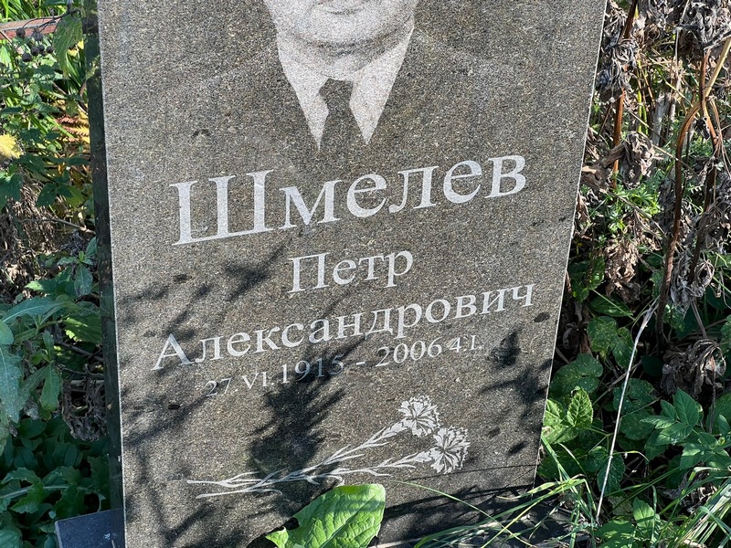 Шмелев
