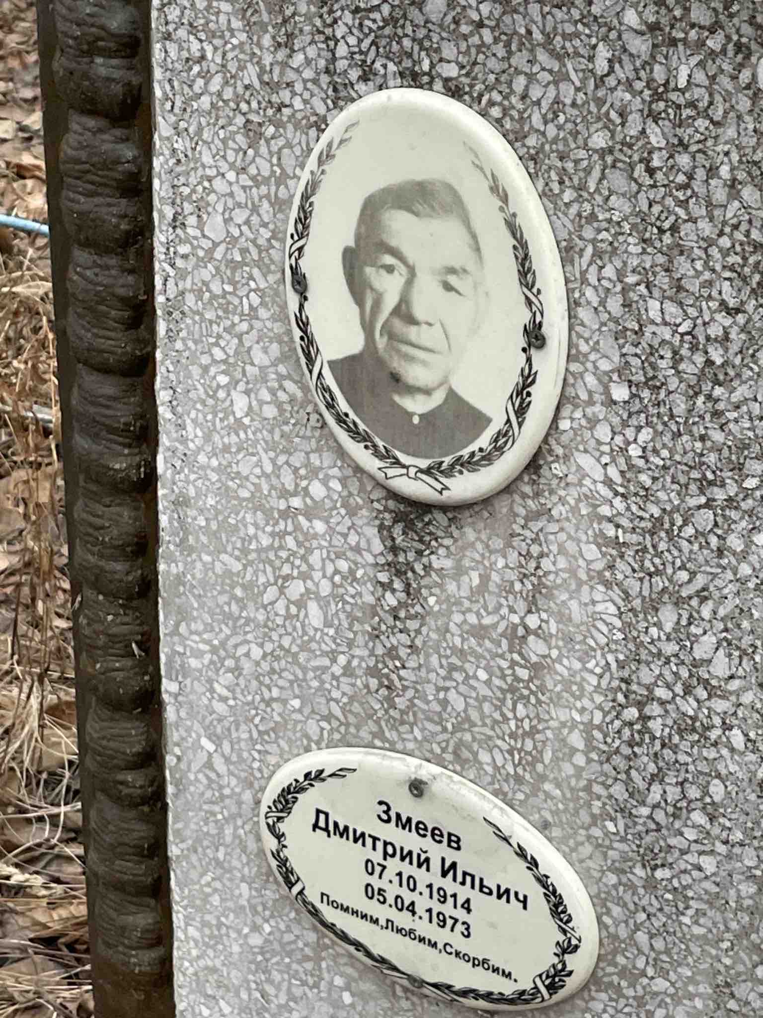 Змеев Дмитрий Ильич