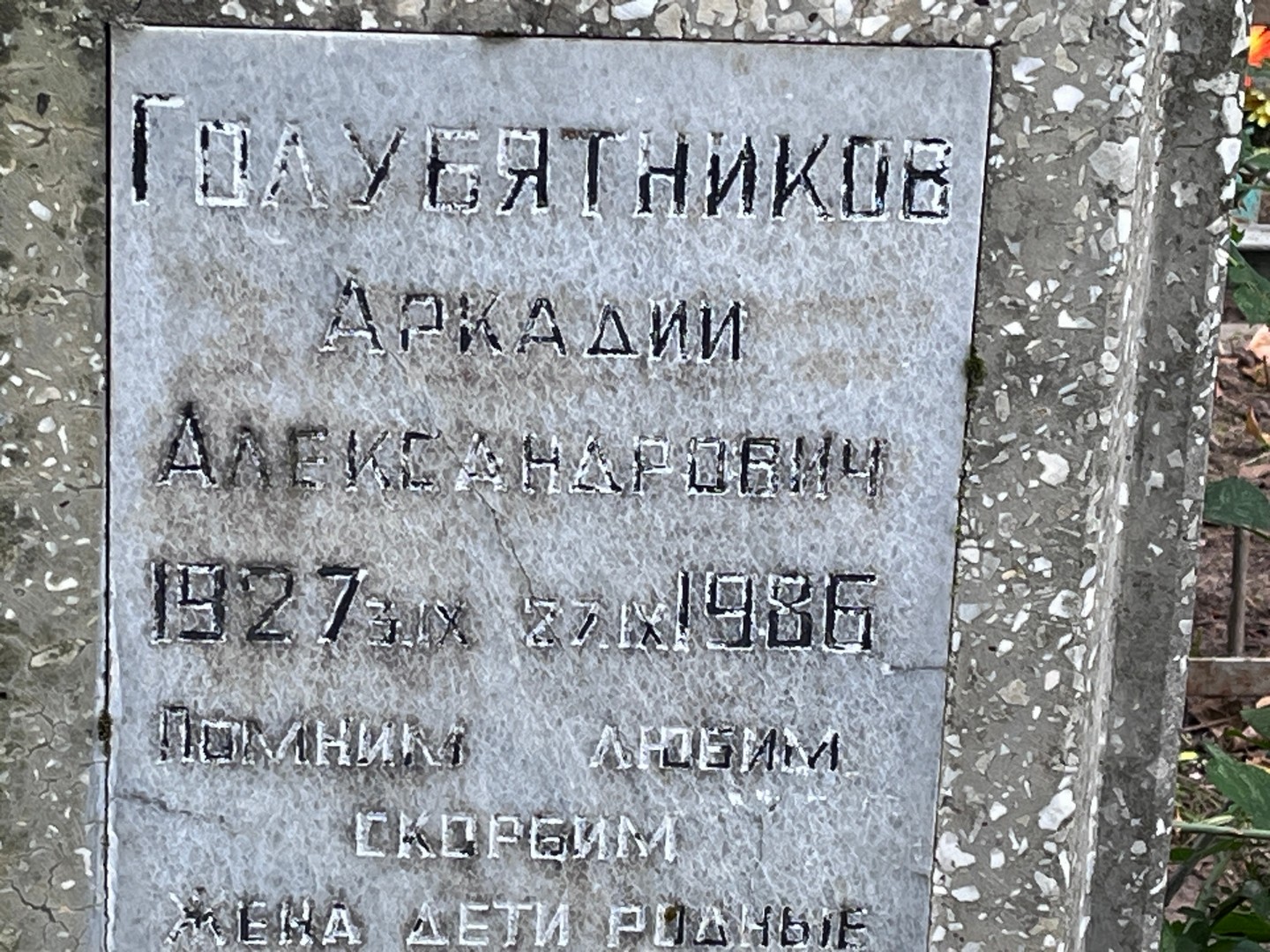 Голубятников