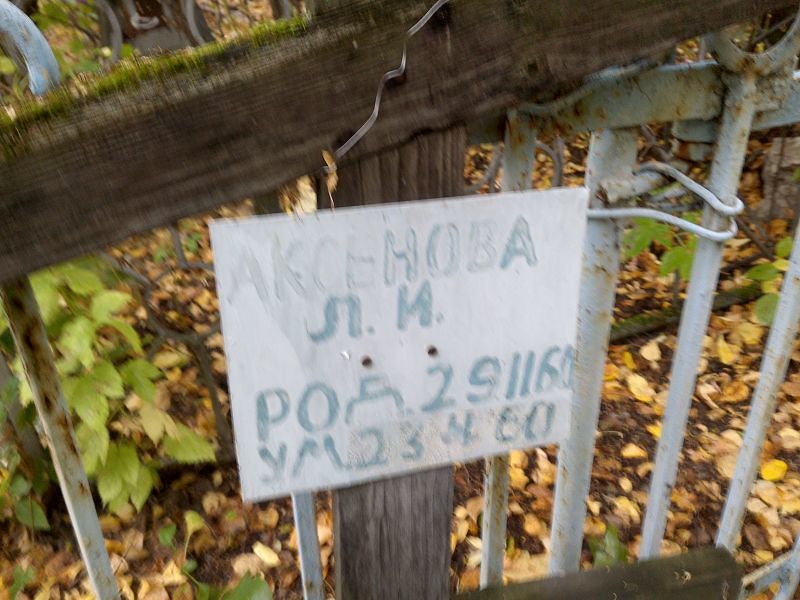 Л Аксенова И