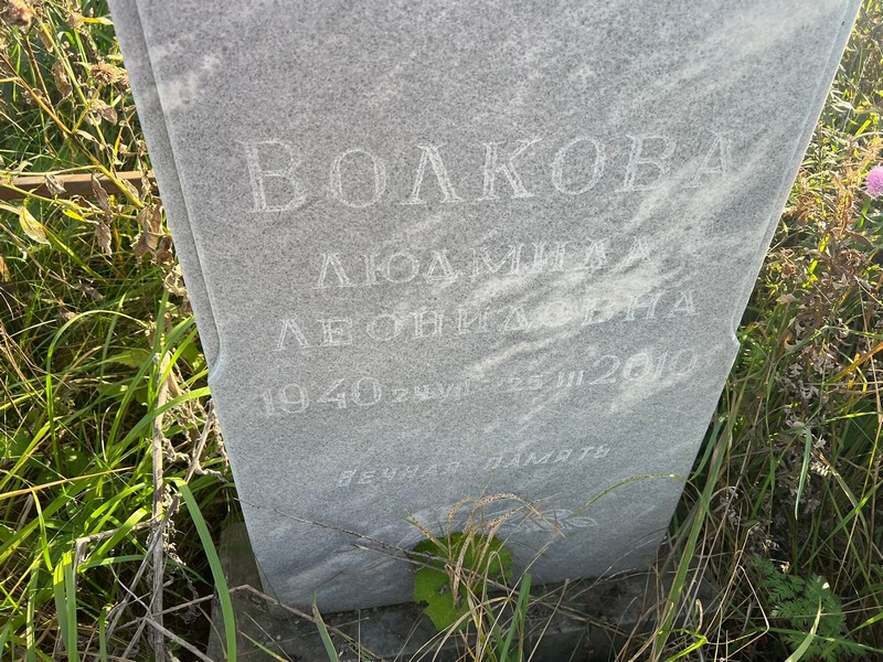 Волкова
