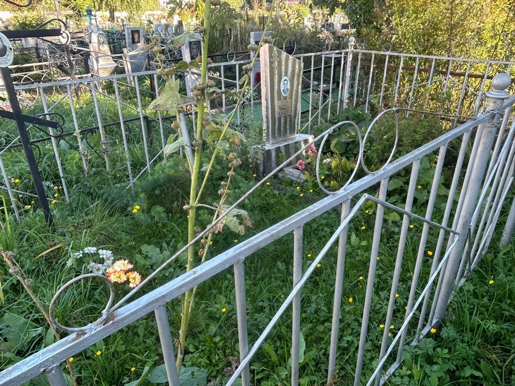 Бандакова Анна Степановна