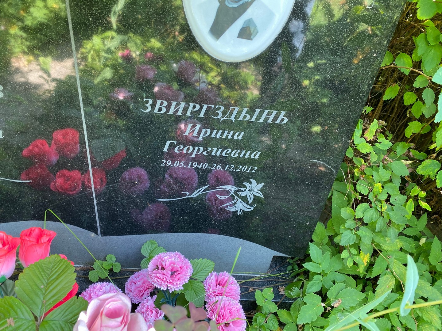 Звиргздынь