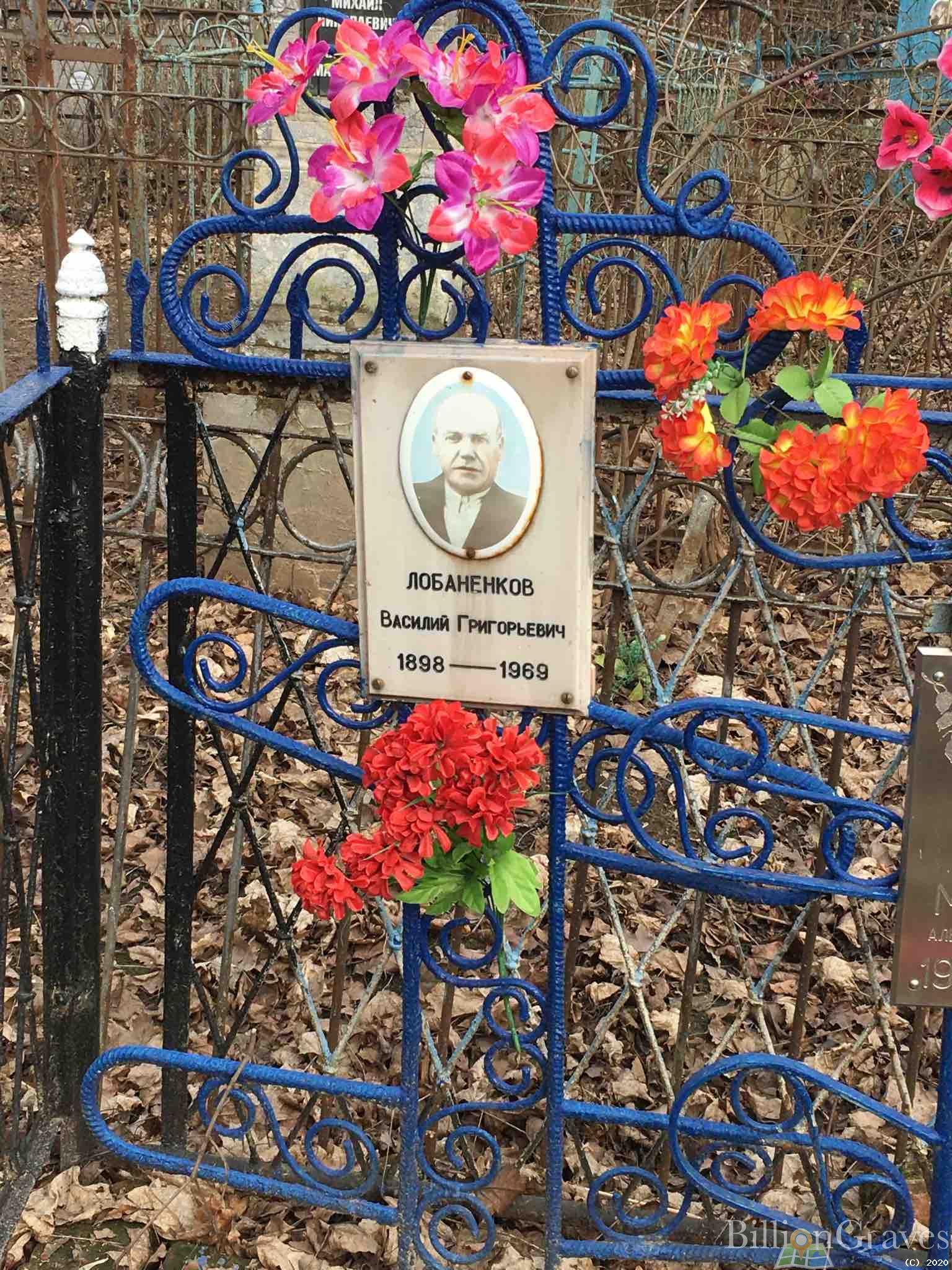 Митряева Александра Васильевна