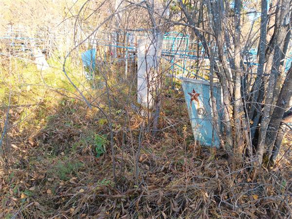 Закурдаев Николай Тимофеевич